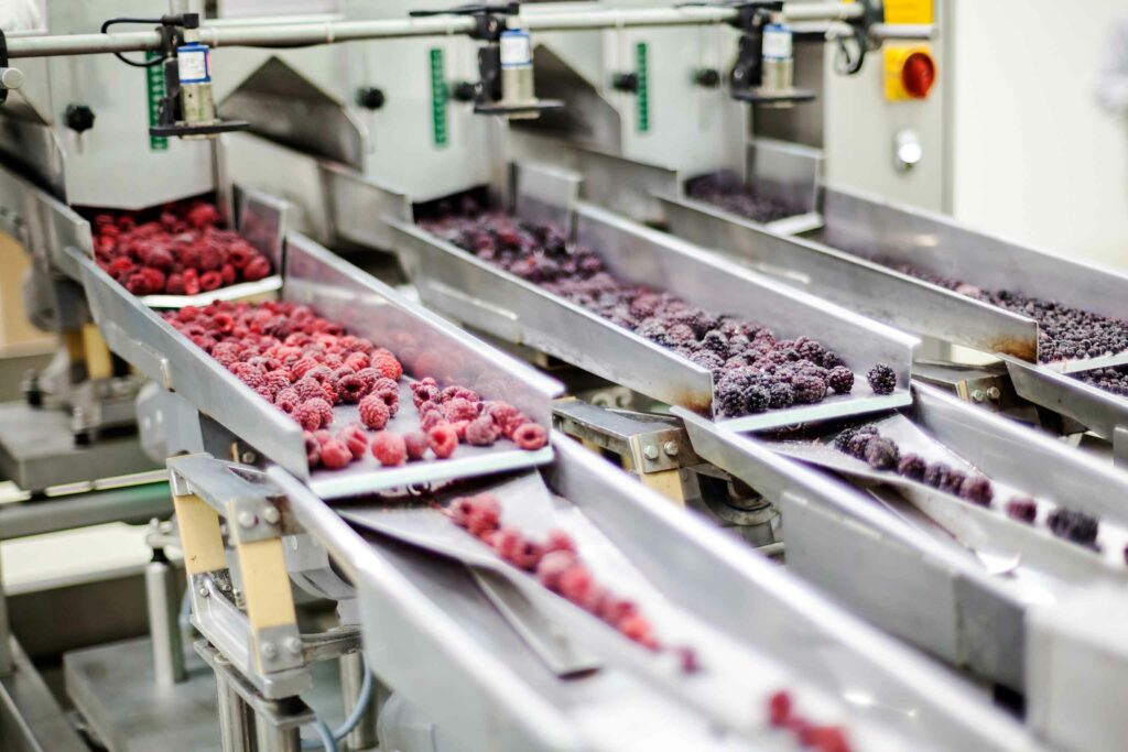 Sorting-and-processing-frozen-raspberries