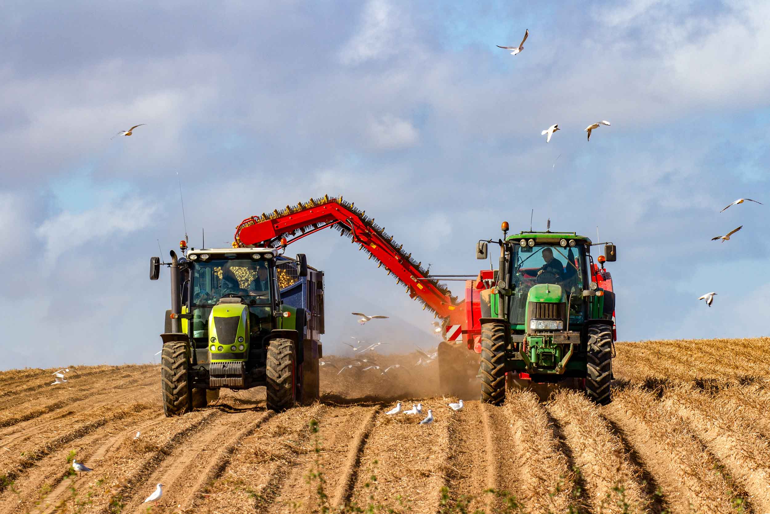 Potato Farming Solution